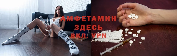 мяу мяу мука Абаза