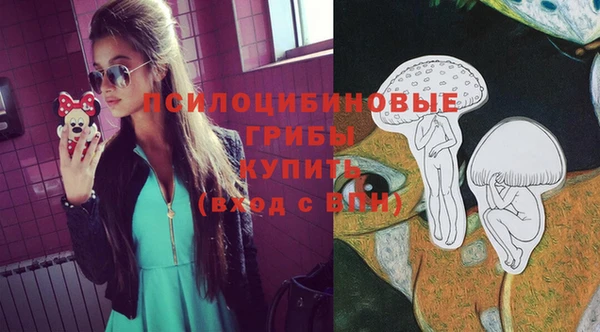 первитин Алексеевка