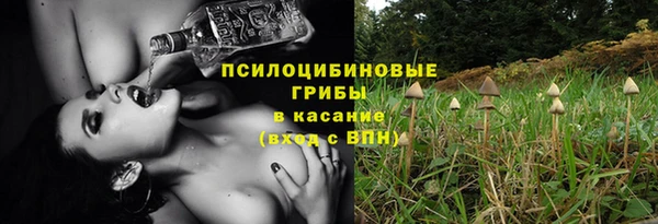первитин Алексеевка