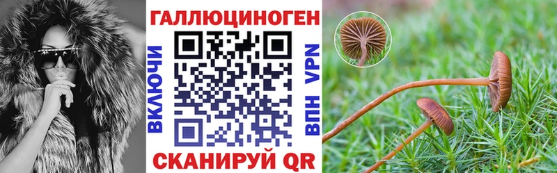 Псилоцибиновые грибы Psilocybine cubensis  Комсомольск-на-Амуре 